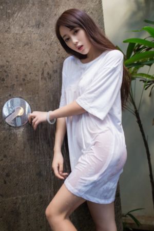 一口气看完情满四合院